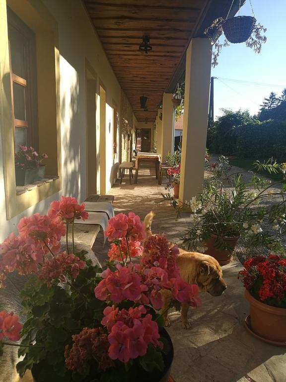 Koppany Lovasudvar Bakonykoppány Exterior foto